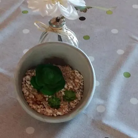 Zoro